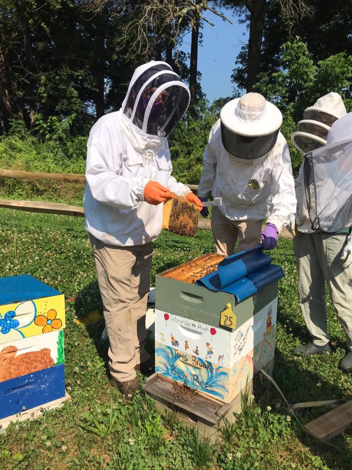 Shenandoah County Beekeepers